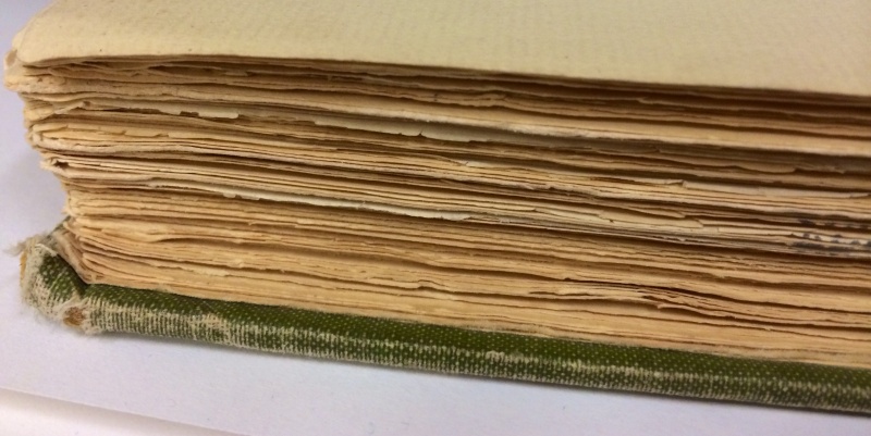 File:Untrimmededge.JPG