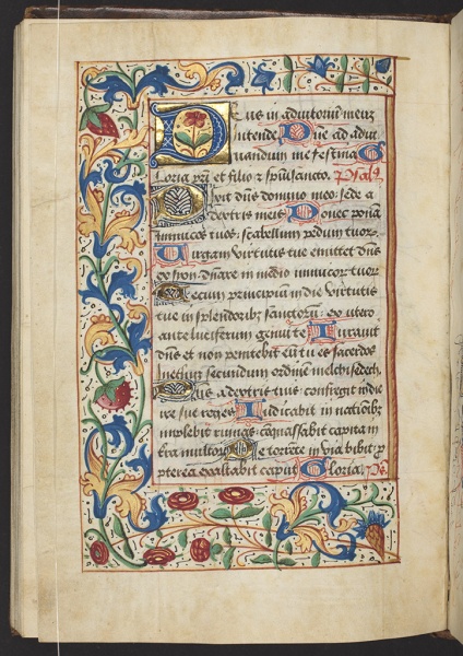 File:Acanthus bookofhours.jpg